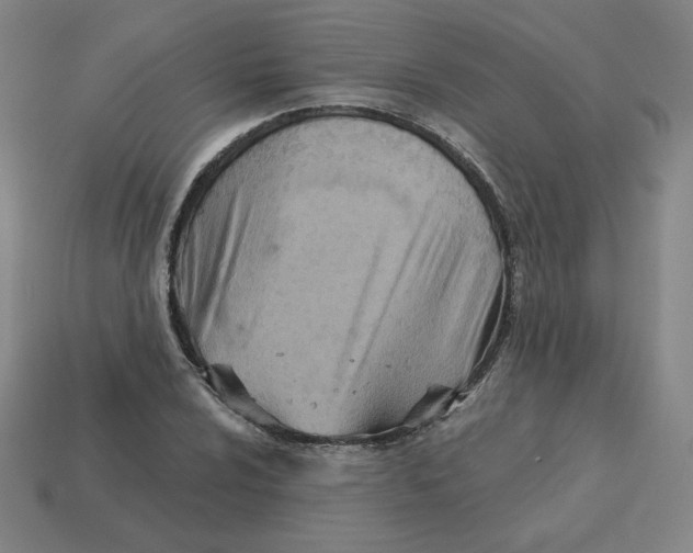 X0000113321024200910131124