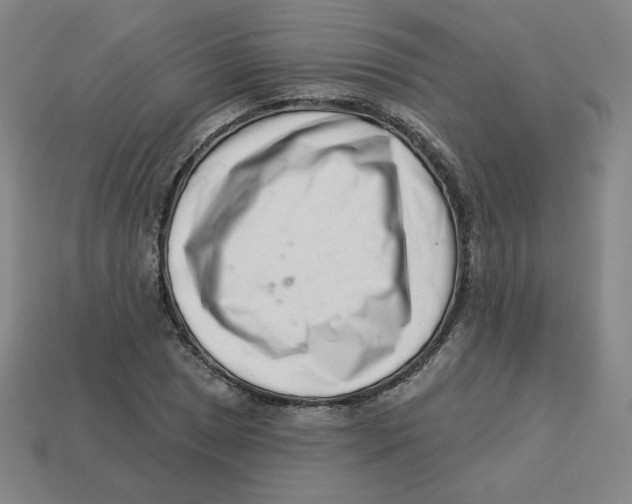 X0000113321025200910131124