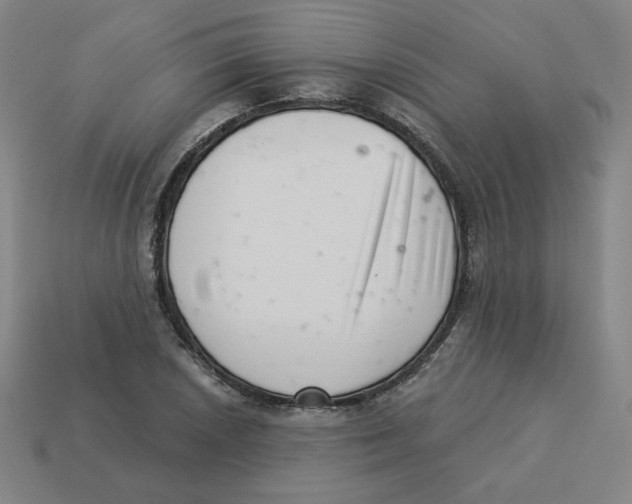 X0000113321026200910131124