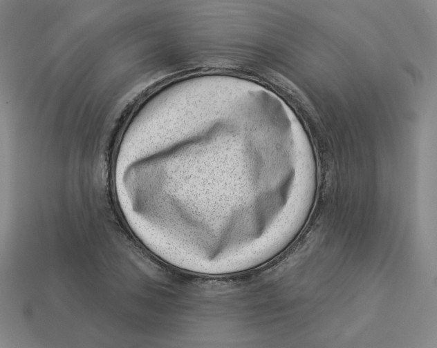 X0000113321027200910131124