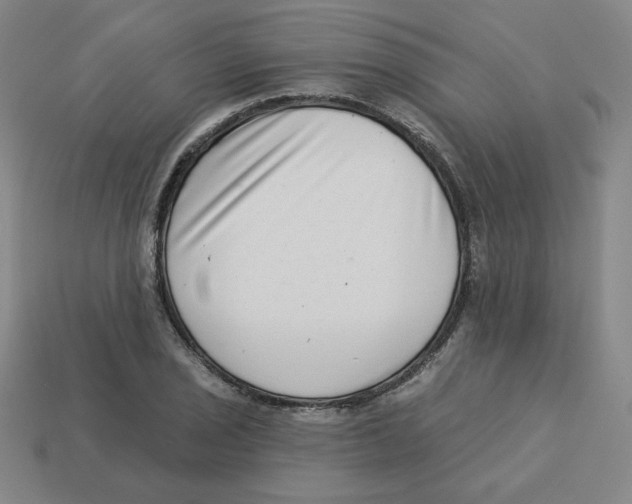 X0000113321029200910131124