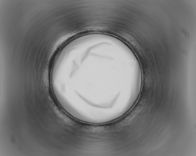 X0000113321030200910131124