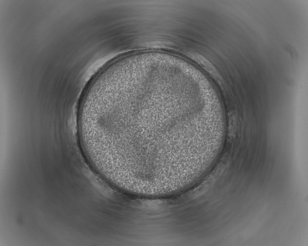 X0000113321031200910131124