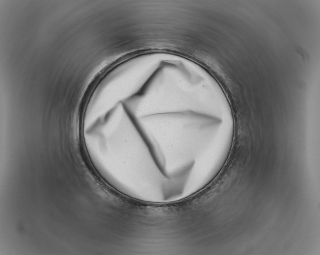 X0000113321032200910131124