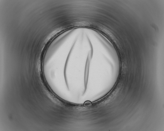 X0000113321034200910131124