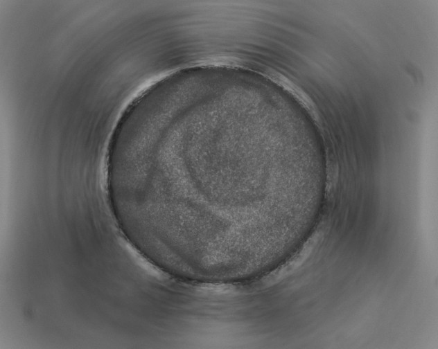 X0000113321037200910131124