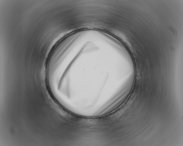 X0000113321040200910131124