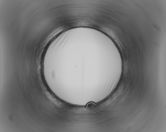 X0000113321042200910131124