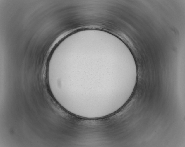 X0000113321044200910131124