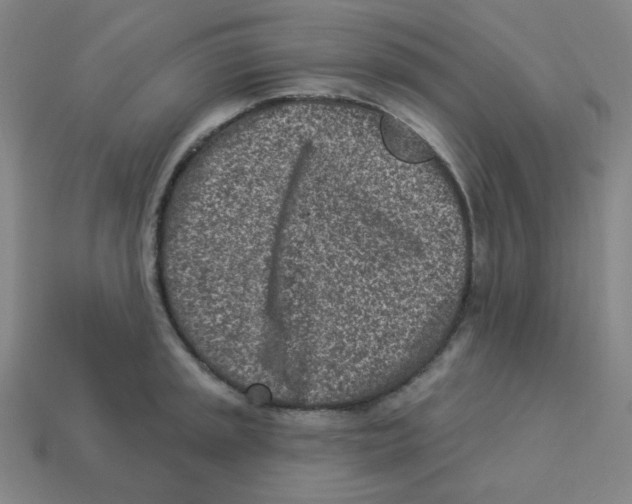 X0000113321045200910131124