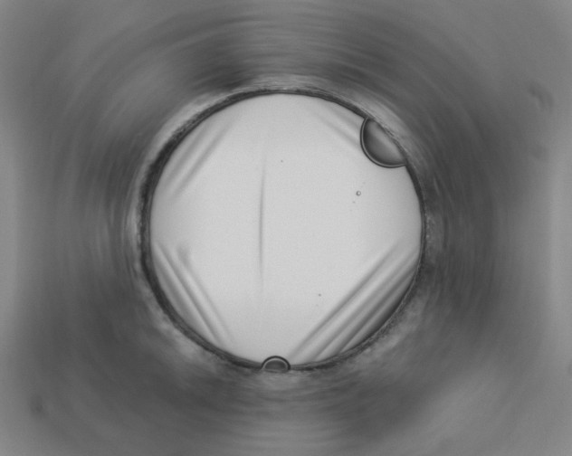 X0000113321046200910131124