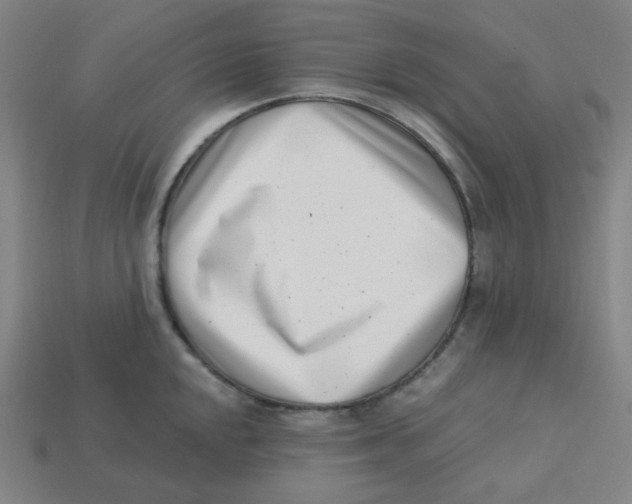 X0000113321048200910131124