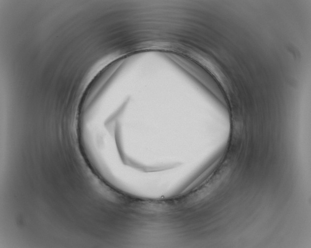 X0000113321050200910131124