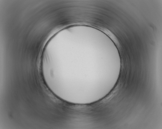 X0000113321052200910131124