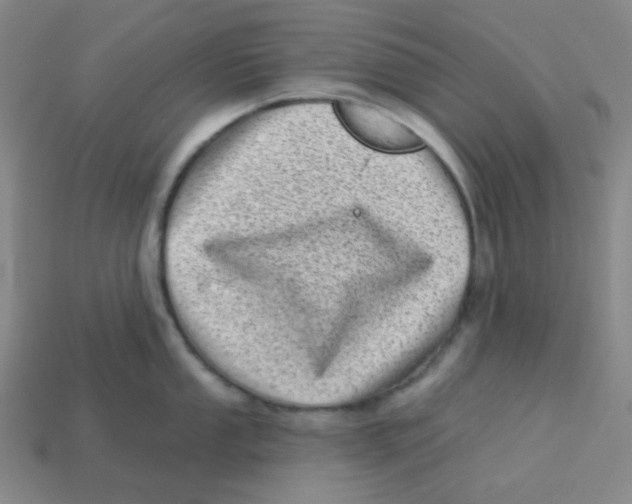 X0000113321053200910131124