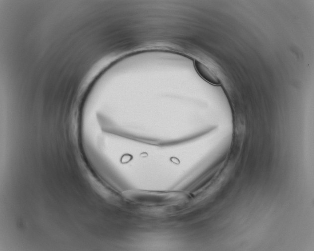 X0000113321054200910131124