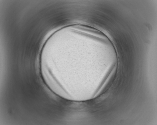 X0000113321056200910131124