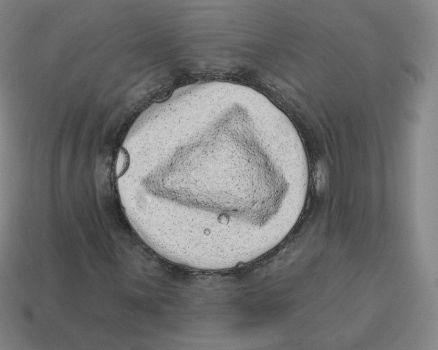 X0000113321059200910131123