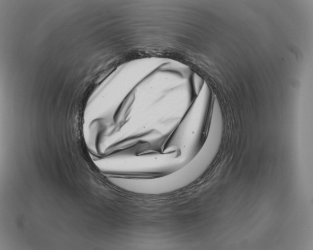 X0000113321060200910131123