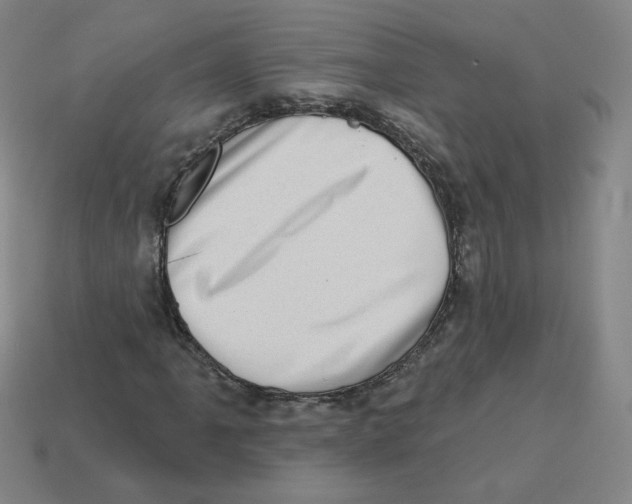 X0000113321061200910131123