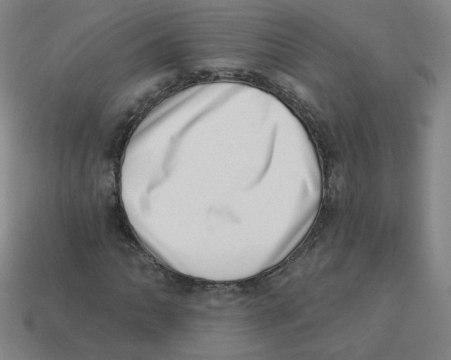 X0000113321062200910131123