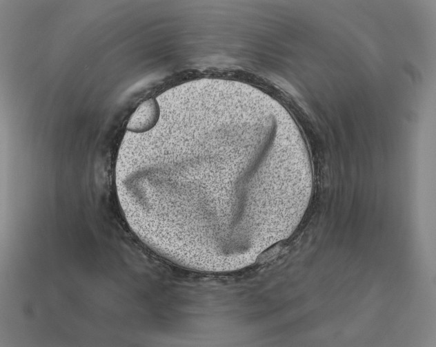 X0000113321063200910131123