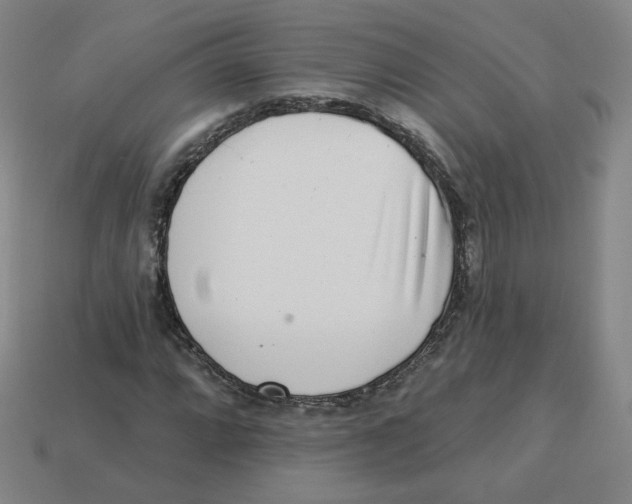 X0000113321064200910131123