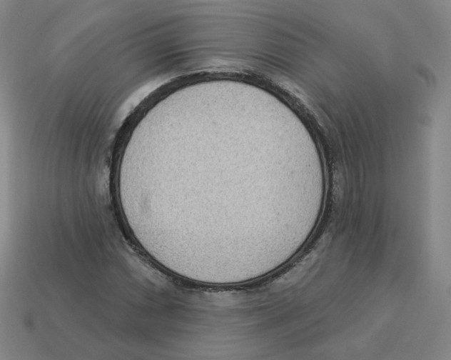 X0000113321066200910131123