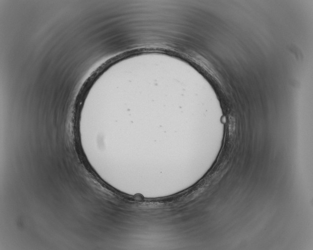 X0000113321068200910131123