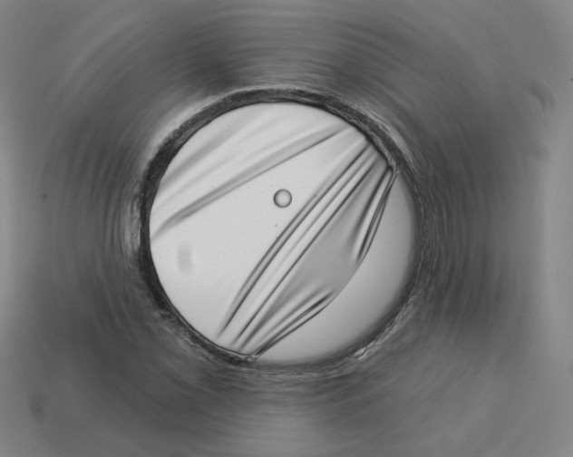 X0000113321069200910131123