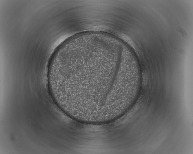 X0000113321071200910131123