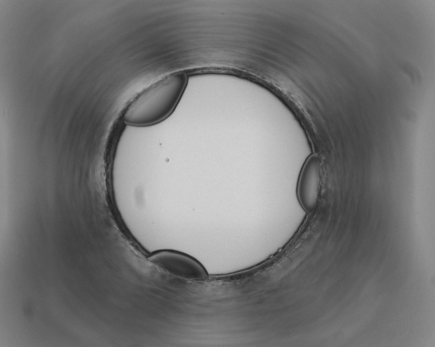 X0000113321072200910131123