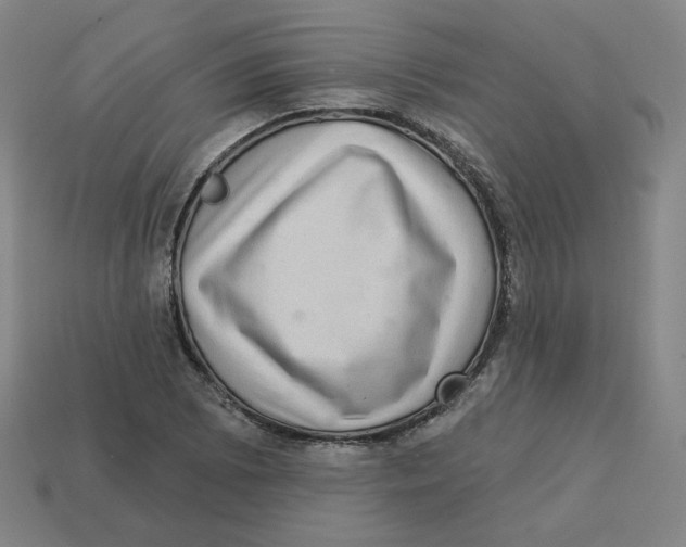 X0000113321073200910131123