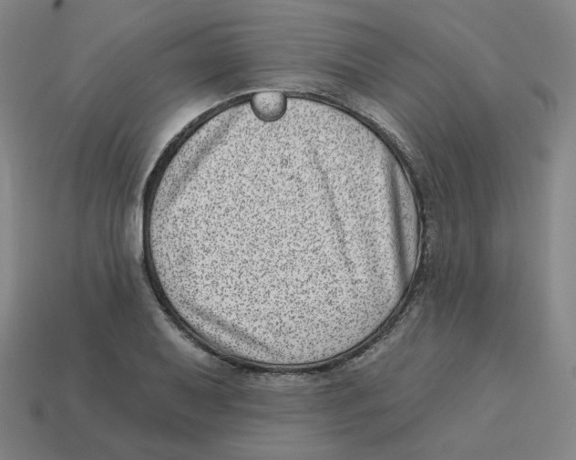 X0000113321079200910131123