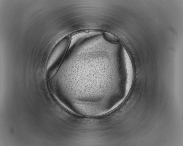 X0000113321081200910131123