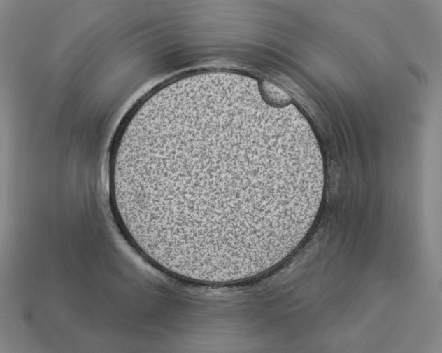 X0000113321084200910131123