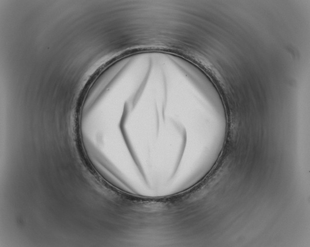 X0000113321085200910131123