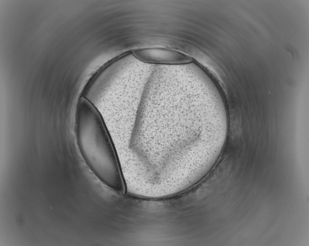 X0000113321088200910131123