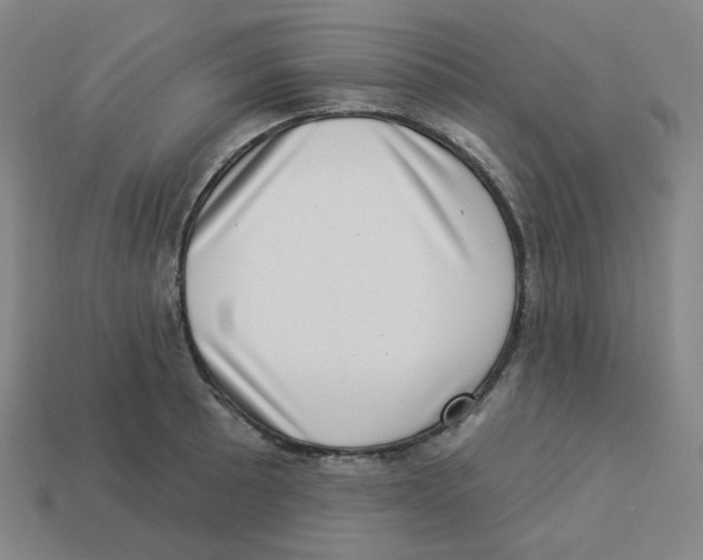 X0000113321089200910131123