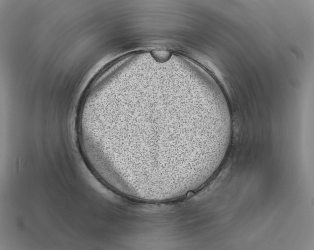 X0000113321091200910131123