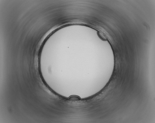 X0000113321092200910131123