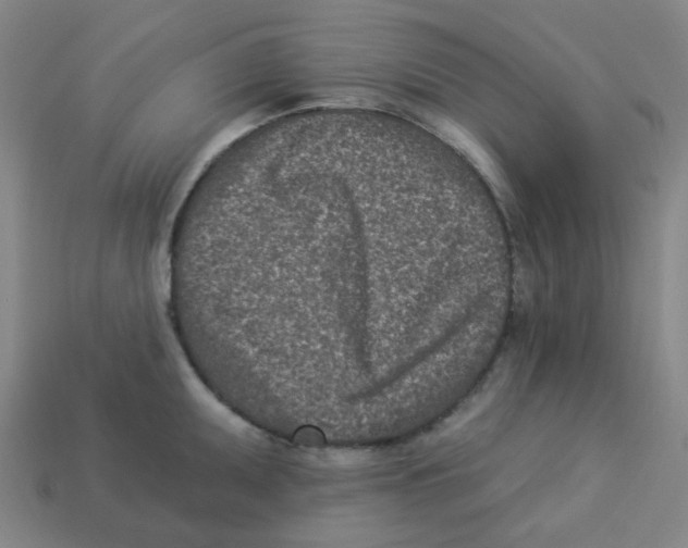 X0000113321095200910131123