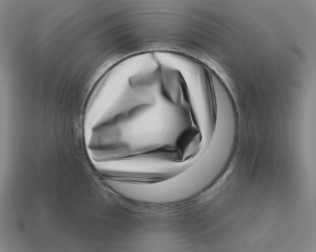 X0000113321097200910131123