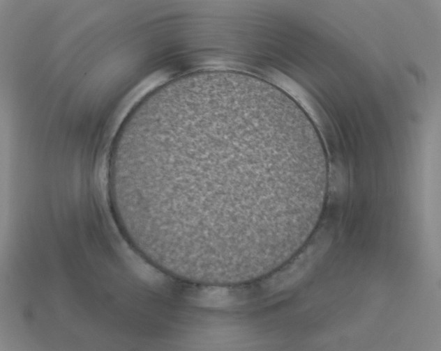 X0000113321098200910131123