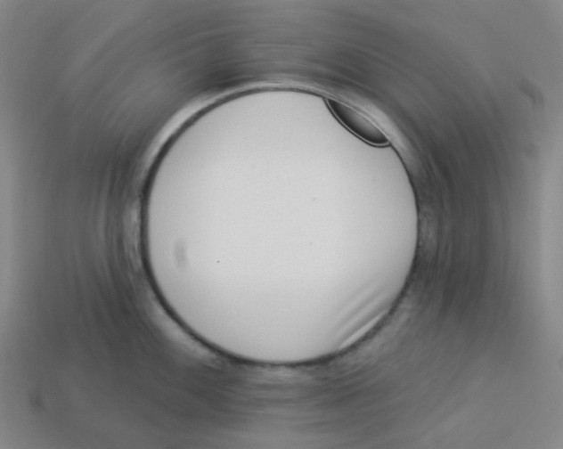 X0000113321100200910131123