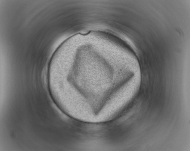 X0000113321103200910131123