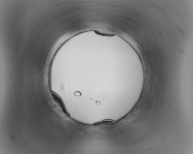 X0000113321104200910131123