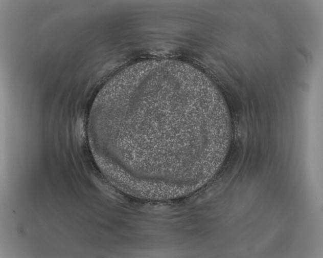 X0000113321106200910131122