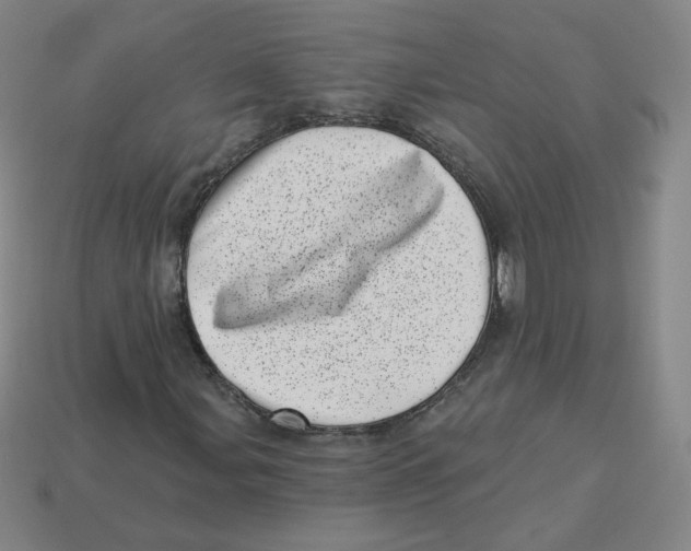 X0000113321107200910131122