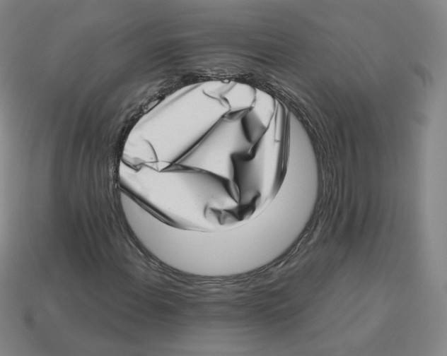 X0000113321108200910131122